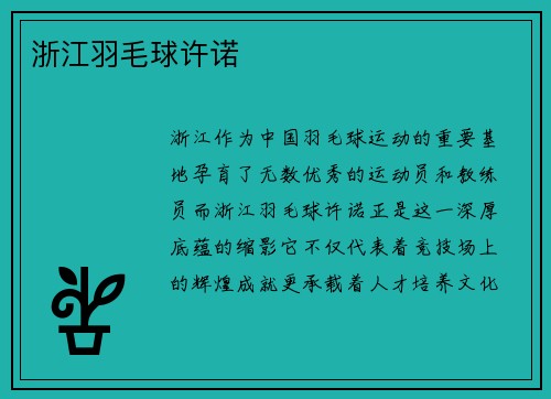 浙江羽毛球许诺